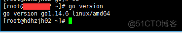go语言环境配置linux linux golang环境安装_linux_02