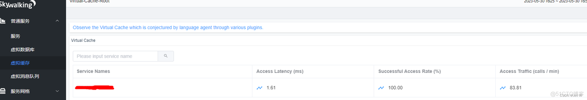 skywalking启动指定 java 版本 skywalking jvm_java_06