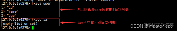 redis sadd 的 like 是什么意思 redis field是什么意思_哈希算法_09