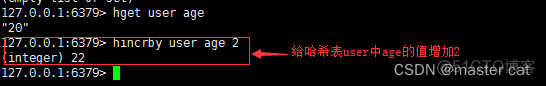 redis sadd 的 like 是什么意思 redis field是什么意思_hash_11