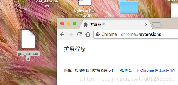 python chrome 爬虫 chrome浏览器爬虫插件开发_浏览器插件_06