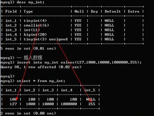 字段类型 TIMESTAMP java是什么 字段数据类型是什么_数据_05