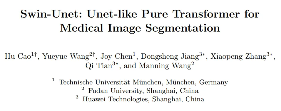 医学图像分割 pytorch 框架 transformer医学图像分割_数据集