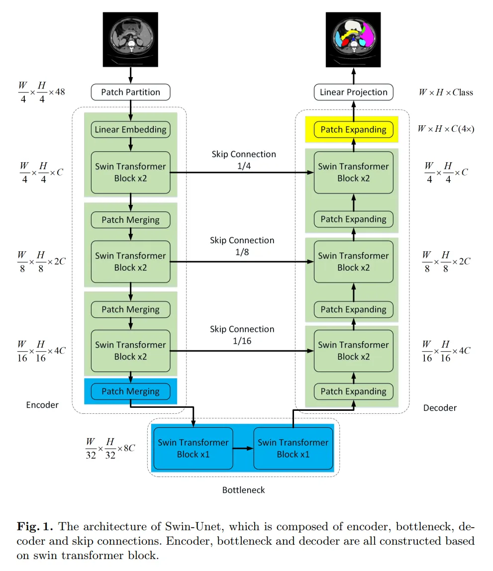 医学图像分割 pytorch 框架 transformer医学图像分割_卷积_02