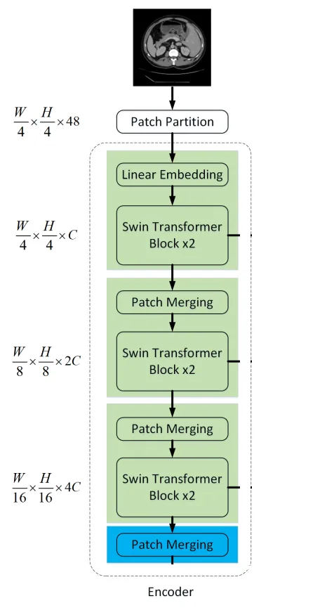 医学图像分割 pytorch 框架 transformer医学图像分割_医学图像分割 pytorch 框架_06