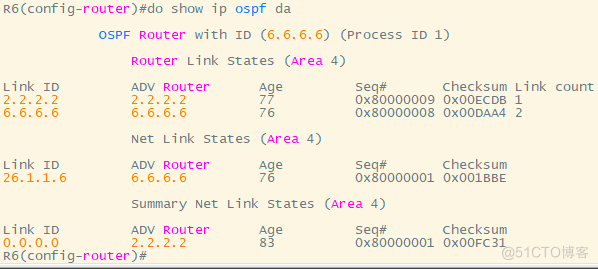 思科——OSPF综合实验_OSPF_12