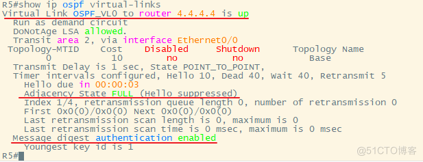 思科——OSPF综合实验_数据库_10