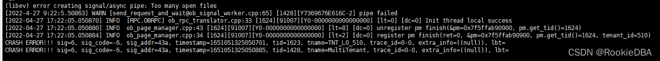 Java项目oceanbase配置 oceanbase部署_mysql_02