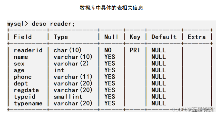 java大作业学生信息管理系统 java大作业图书管理系统_Swing_11