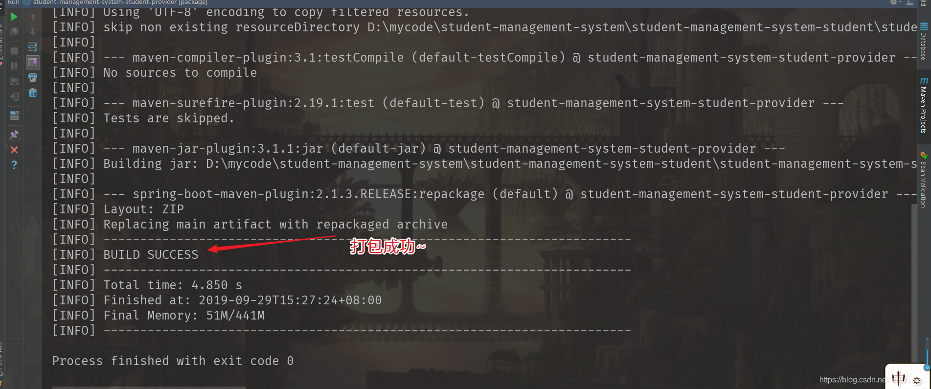 java 微服务如何把项目打包到一个目录下 微服务打jar包_SpringBoot_05