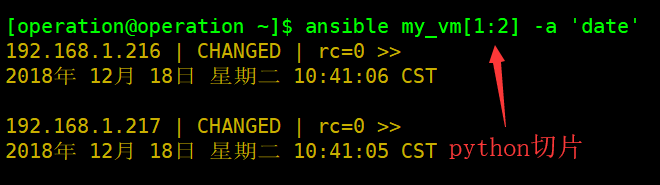 ansible kubernetes docker 从0到1搭建 ansible-console_主机名_05