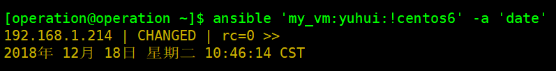 ansible kubernetes docker 从0到1搭建 ansible-console_主机名_06