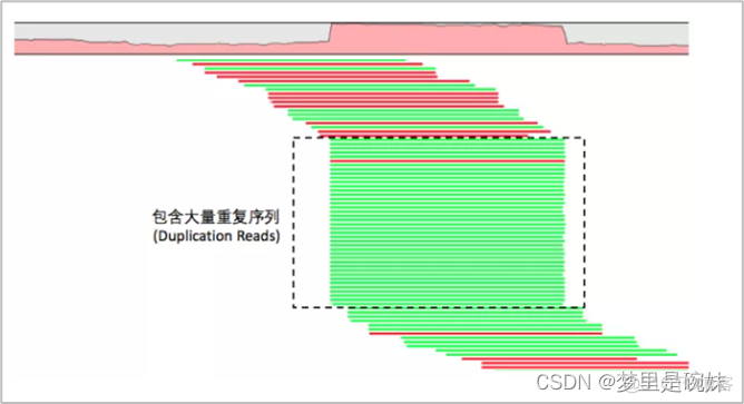 wgs全基因组测序数据分析教程 全基因组测序样本要求_wgs全基因组测序数据分析教程_10