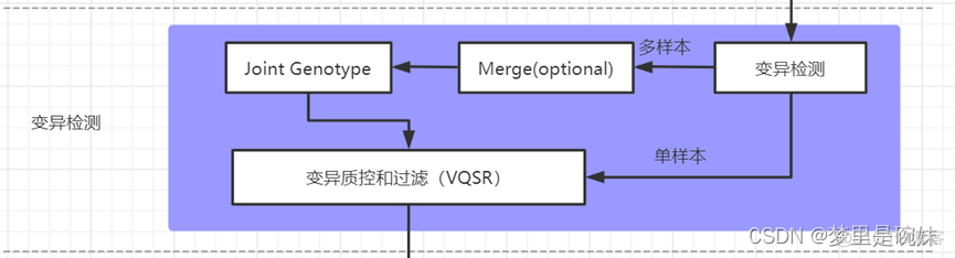 wgs全基因组测序数据分析教程 全基因组测序样本要求_GWS_13