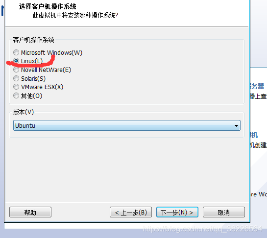 虚拟机安装 bios 虚拟机安装系统_子网掩码_06