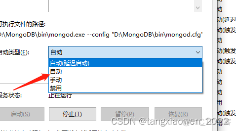 mongodb bind ip 多个 mongodb ipv6_环境变量_12