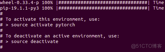 ubuntn pytorch ubuntn pytorch环境配置_虚拟环境_07