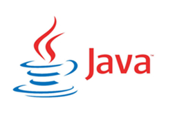 tinyMediaManager下载JAVA java runtime environment下载_Java