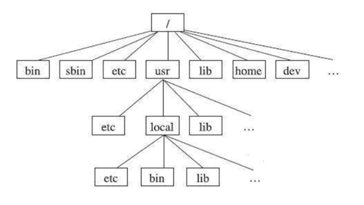 Linux虚拟机BIOS重启怎么实现优盘启动 linux 重启虚拟机_linux_02