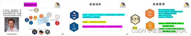 R语言 微生物进化树 r语言计算生物多样性_一般线性模型_02