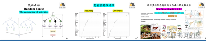 R语言 微生物进化树 r语言计算生物多样性_R语言 微生物进化树_07