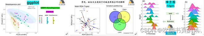 R语言 微生物进化树 r语言计算生物多样性_生物群落统计分析_14