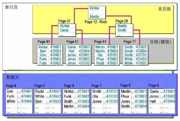 mysql如何才能走聚簇索引 sqlserver聚簇索引_数据_02