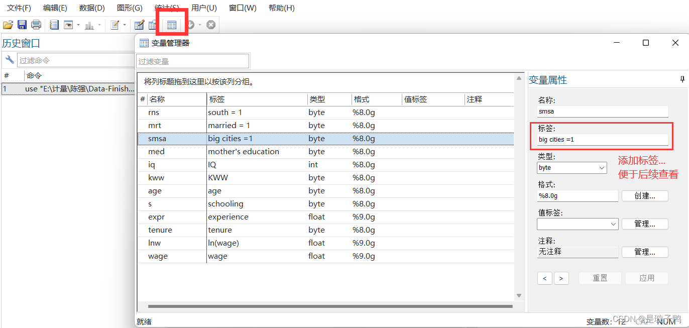 stata软件提示Java installation not found stata安装initialize license_变量名_13