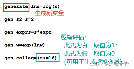 stata软件提示Java installation not found stata安装initialize license_变量名_29