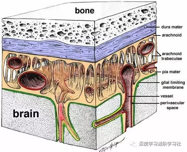 顶层架构图包括哪些内容 顶层构造图_人工智能