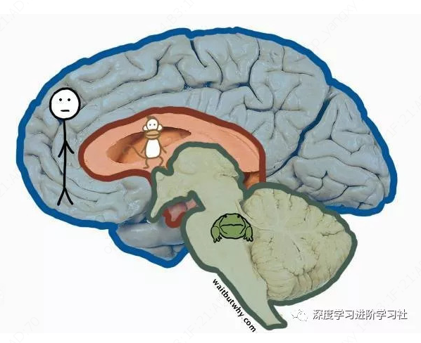 顶层架构图包括哪些内容 顶层构造图_顶层架构图包括哪些内容_10