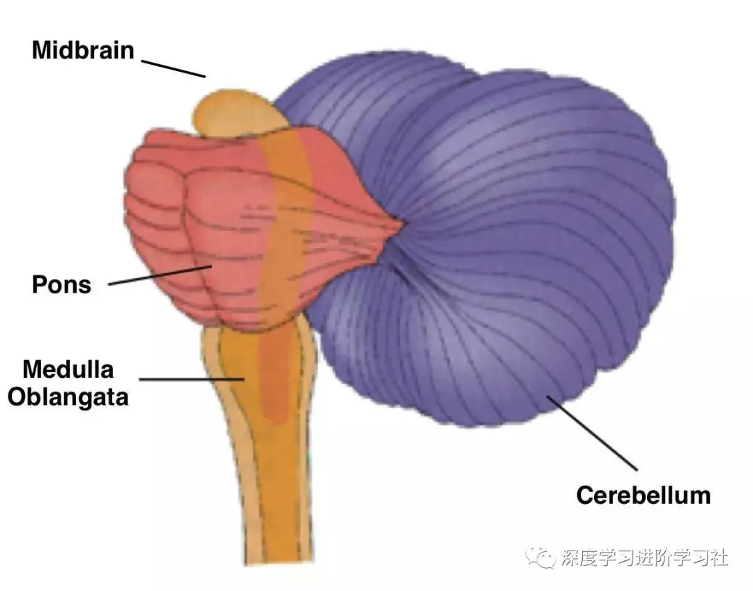 顶层架构图包括哪些内容 顶层构造图_顶层架构图包括哪些内容_13