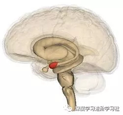 顶层架构图包括哪些内容 顶层构造图_Front_18