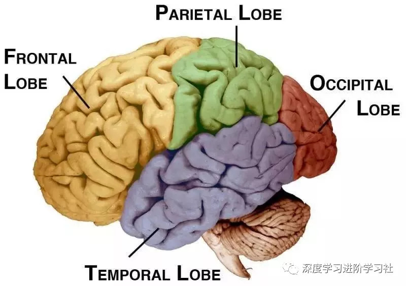 顶层架构图包括哪些内容 顶层构造图_人工智能_21