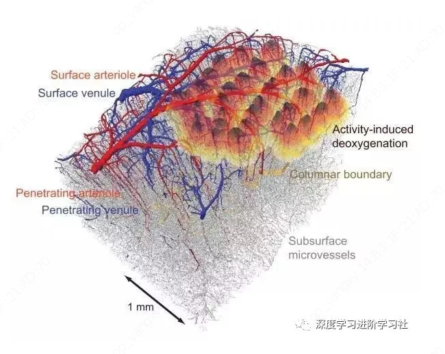 顶层架构图包括哪些内容 顶层构造图_ci_42