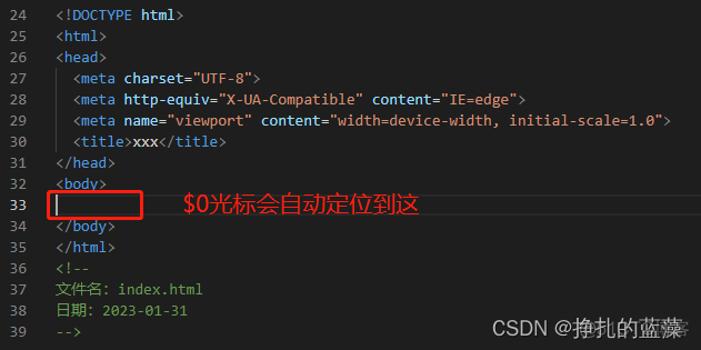 VS Code配置snippets代码片段快速生成html模板，提高前端编写效率_编辑器_05