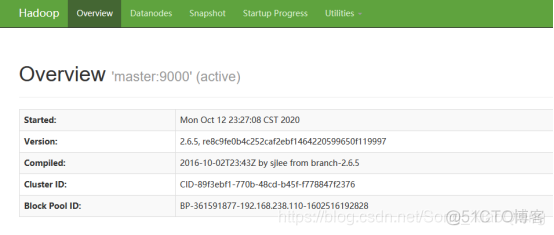 卸载hadoop安装的组件 删除hadoop安装包_hadoop_37