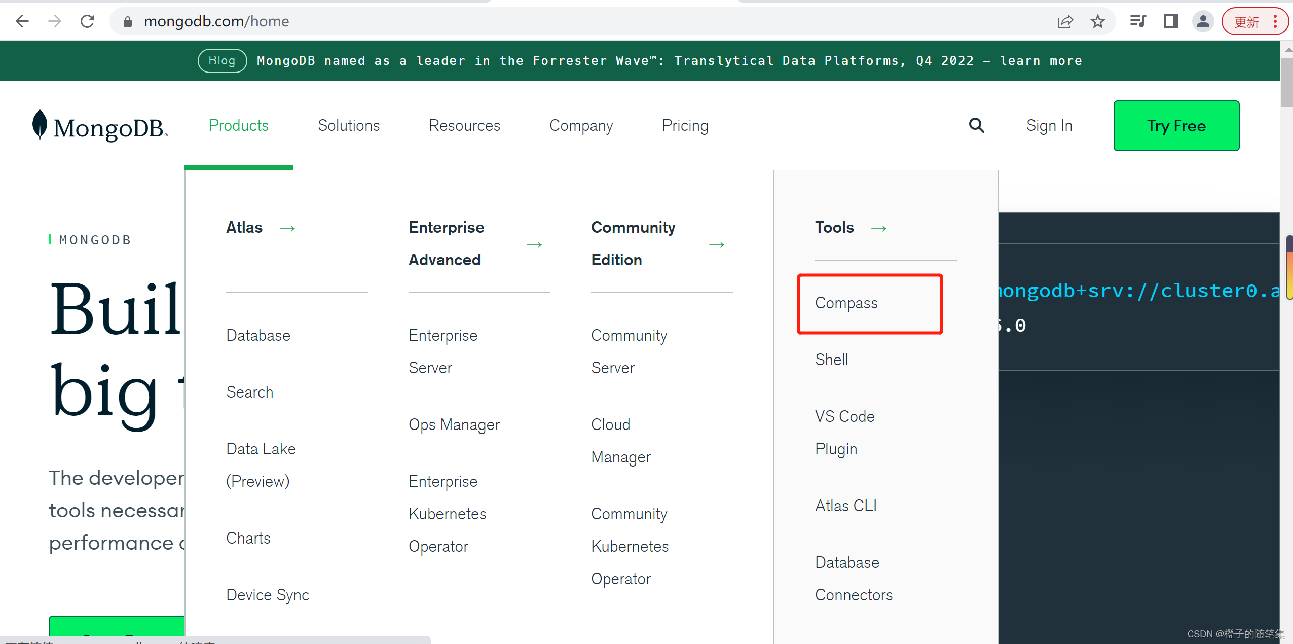 mongodb可视化windows mongodb可视化工具compass连接失败_mongodb