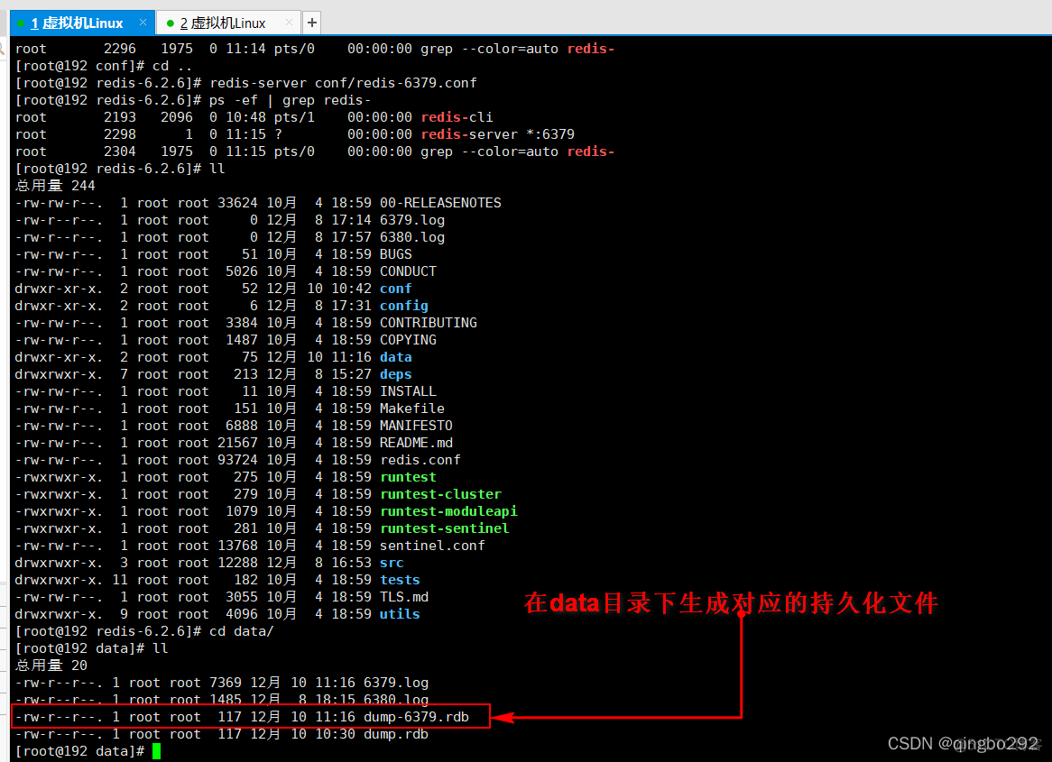 redis aof rdb混合配置 redis rdb和aof搭配使用_数据库_10