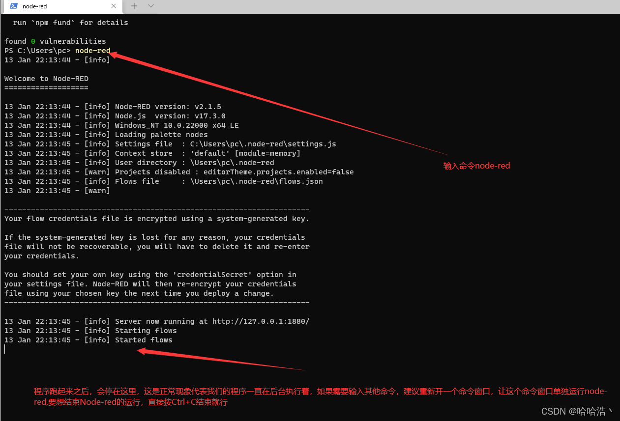 openwrt docker安装win10 openwrt docker安装nodered_PowerShell_11