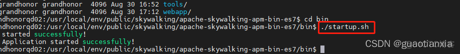 skywalking 集成java jvm skywalking 部署_后端_16