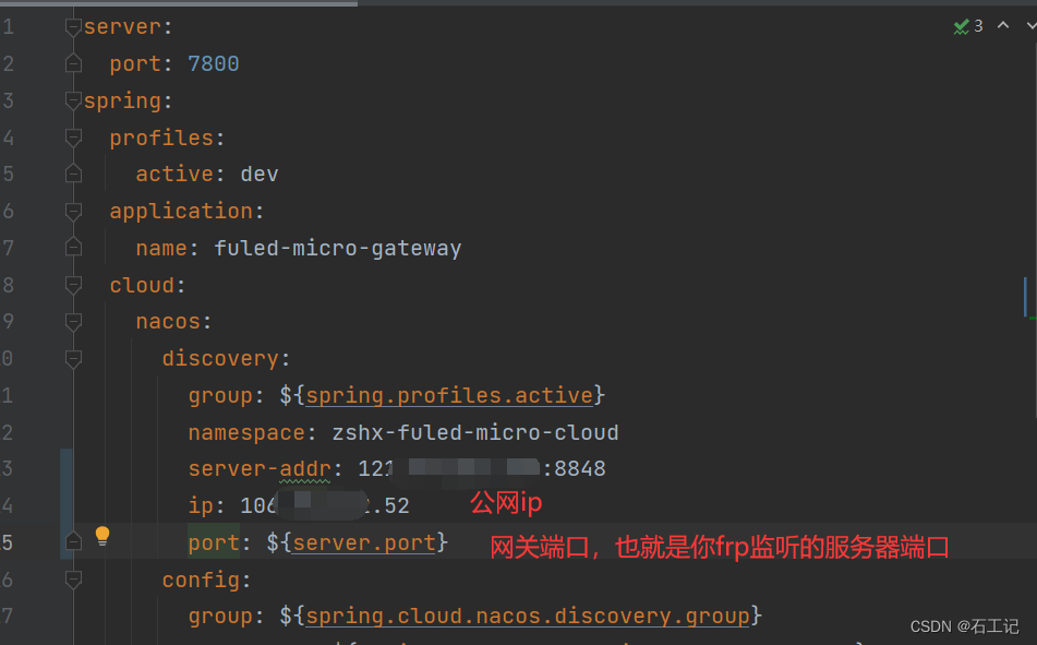 内网环境中怎么制作nacos的docker镜像 nacos内网穿透_分布式_12