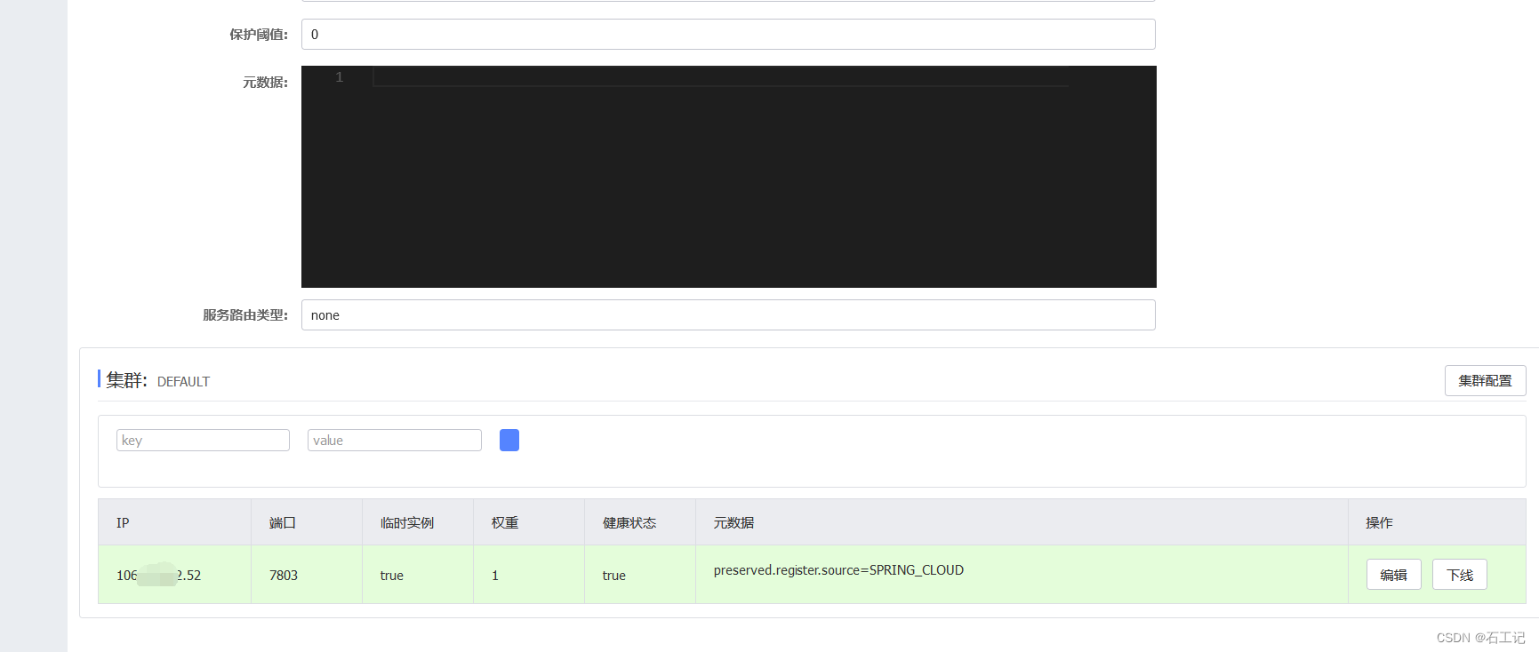 内网环境中怎么制作nacos的docker镜像 nacos内网穿透_微服务_13