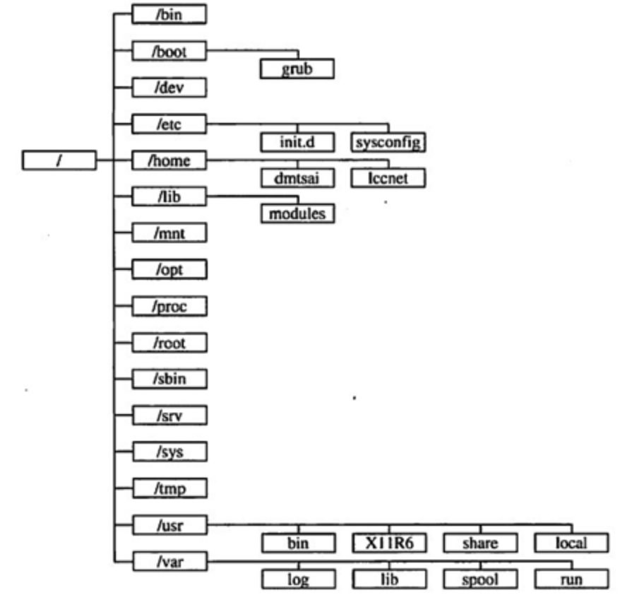 linux文件存放位置java linux存放目录_sed_02