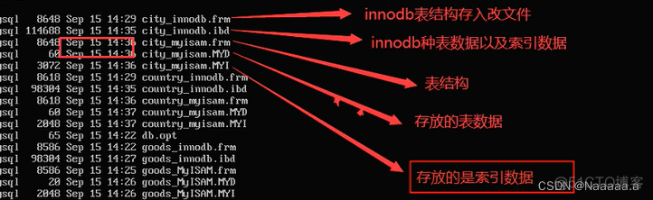 mysql高级教学生成分区 mysql高级认证_服务器_04