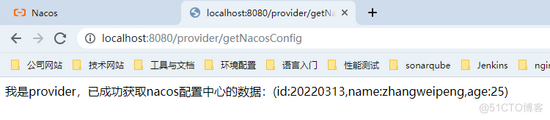 nacos配置中心和java项目配置 nacos配置中心详解_运维_03