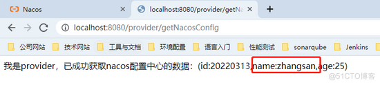 nacos配置中心和java项目配置 nacos配置中心详解_java_05