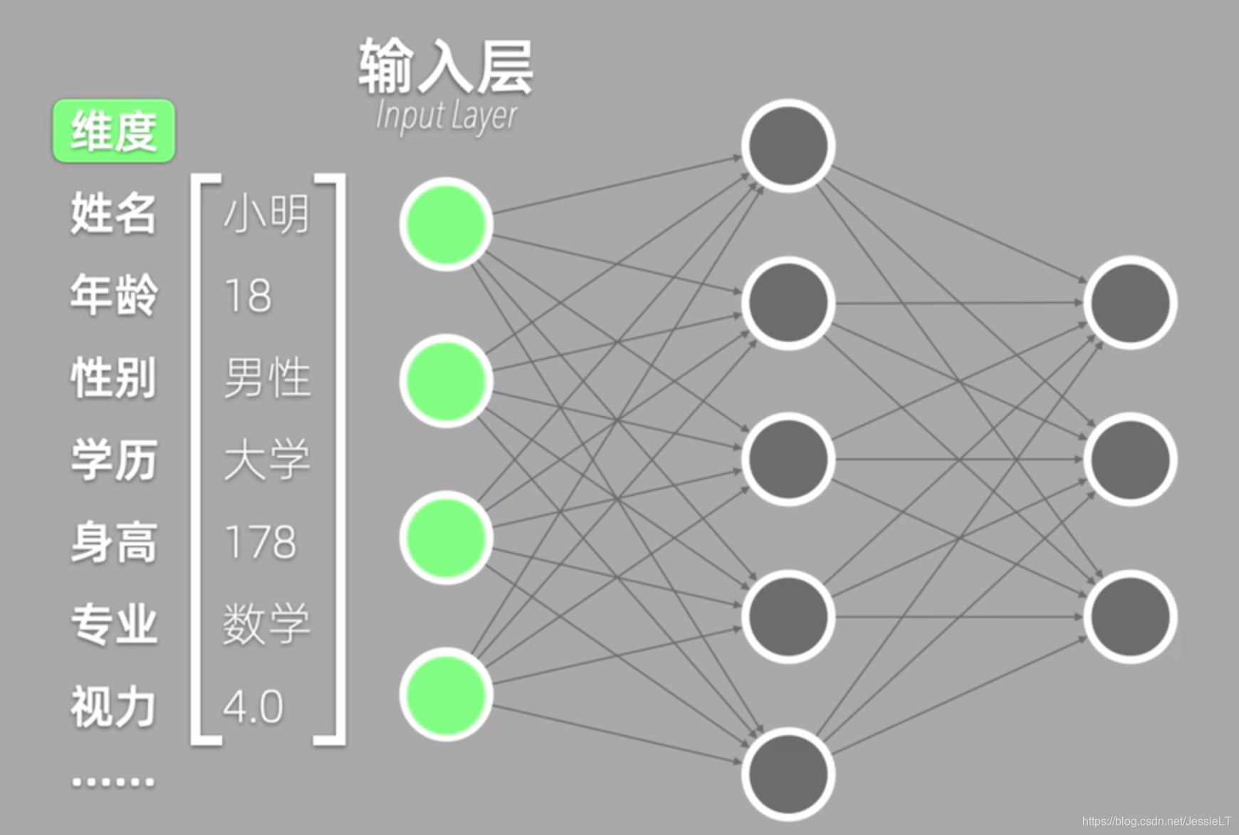 神经网络的输入维度如何实现可变 神经网络的维度是什么_解析几何