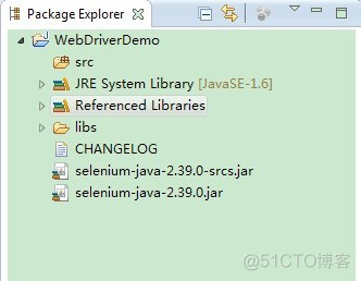 java selenium指定driver selenium环境搭建java_JAVA_11