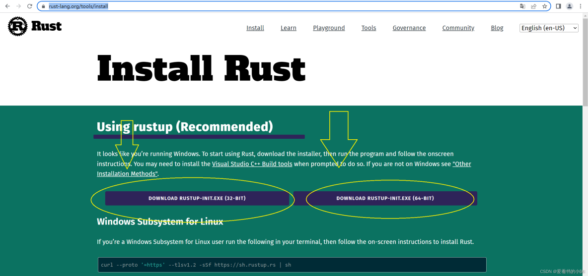rust 运行javascript rust做web后端_rust_03
